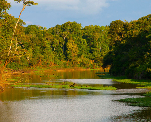 The Yurapa River is a tributary of the Ucayali river in the Amaz